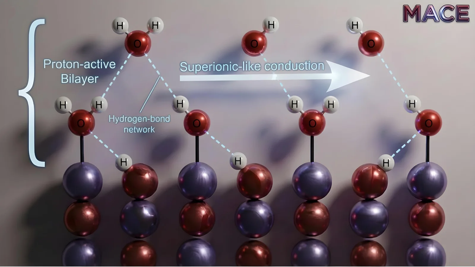 Rendering of the proton-active water bilayer on MgO, with protons hopping along the hydrogen-bond network
